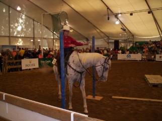 equitation western stage