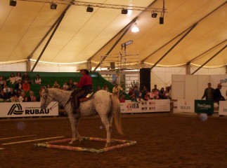 equitation western stage