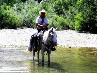 equitation western stage