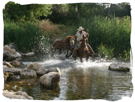 equitation western 66 