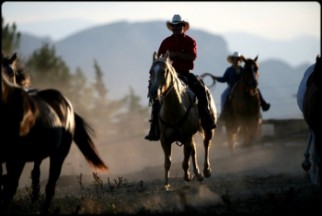 equitation western stage