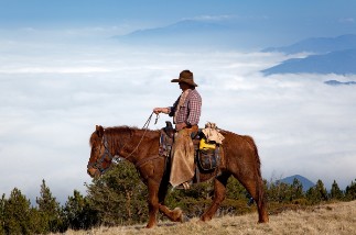 equitation western stage