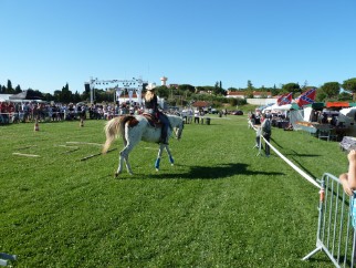 equitation western stage