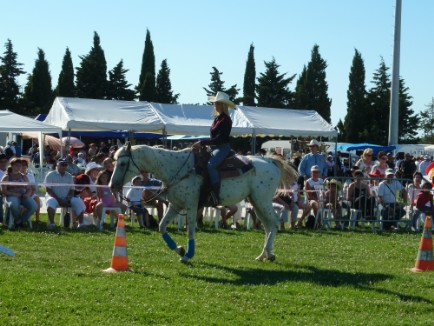 stage equitation western