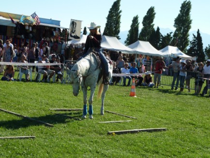 stage equitation western