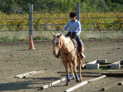 stage equitation western