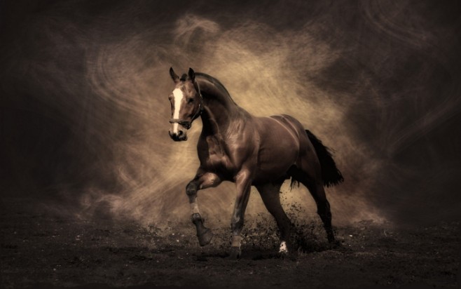 nick verges ranch de las caneilles equitation western nick verges ranch de las caneilles equitation western